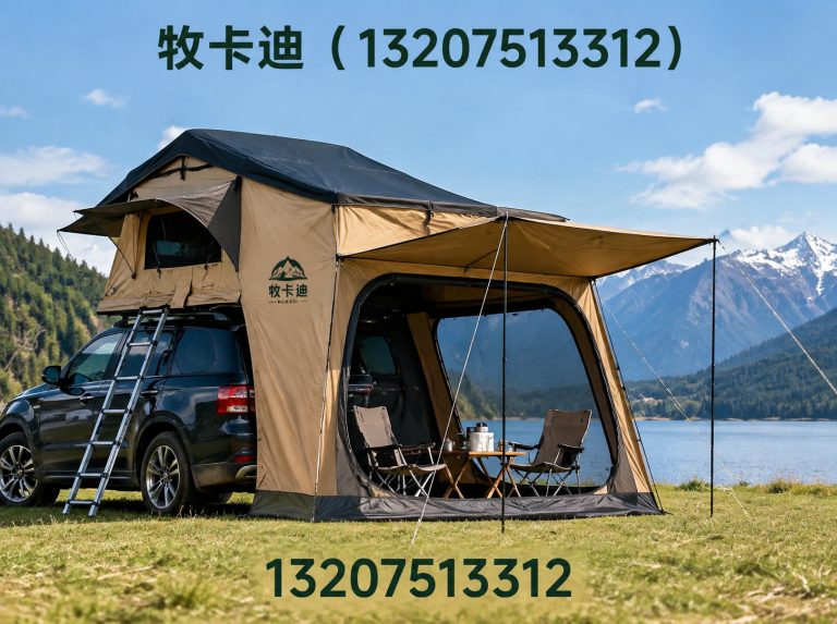津南区露营帐篷展示图